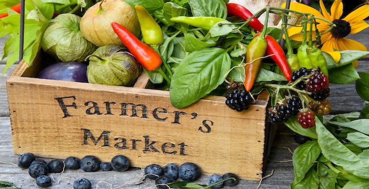 gift-idea-for-coworker_culinary-tour-of-farmers-market_shelley-pauls